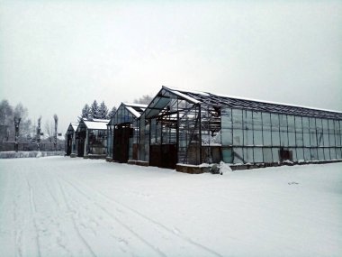 kar altında terk edilmiş sera