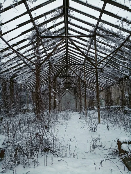 abandoned greenhouse under the snow