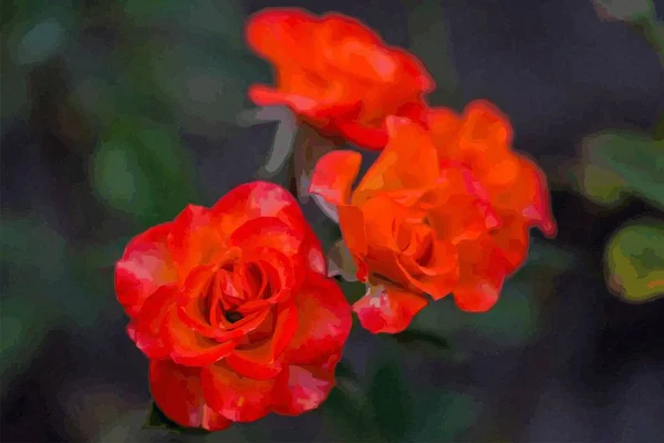 Vector Hermosas Rosas Rojas — Archivo Imágenes Vectoriales