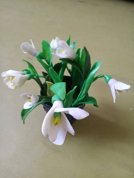 Flores Gotas Nieve Porcelana Fría Para Interior — Foto de Stock