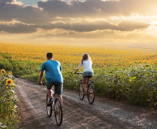 Coppia di adolescenti in bicicletta nel campo di girasole — Foto Stock