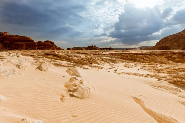 Gold arid desert landscape Sinai, Egypt — Stock Photo, Image