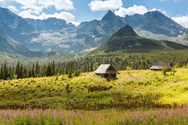 Zakopane 'deki Tatra Dağları Ulusal Parkı