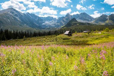 Zakopane 'deki Tatra Dağları Ulusal Parkı