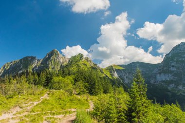 Zakopane 'deki Tatra Dağları Ulusal Parkı