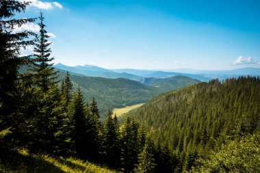 Zakopane 'deki Tatra Dağları Ulusal Parkı