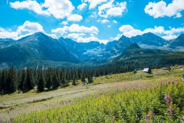 Zakopane 'deki Tatra Dağları Ulusal Parkı