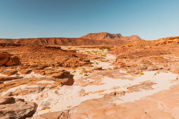 Sinai öknen landskap — Stockfoto