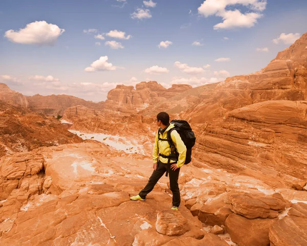 Mujer excursionista con mochila disfrutar de la vista en el desierto —  Fotos de Stock