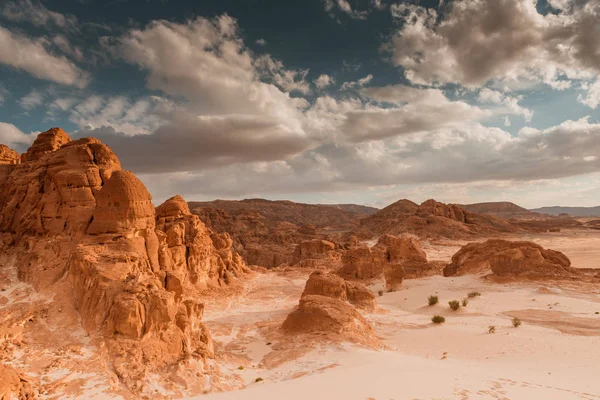 Desert landscape background global warming concept — Stock Photo, Image