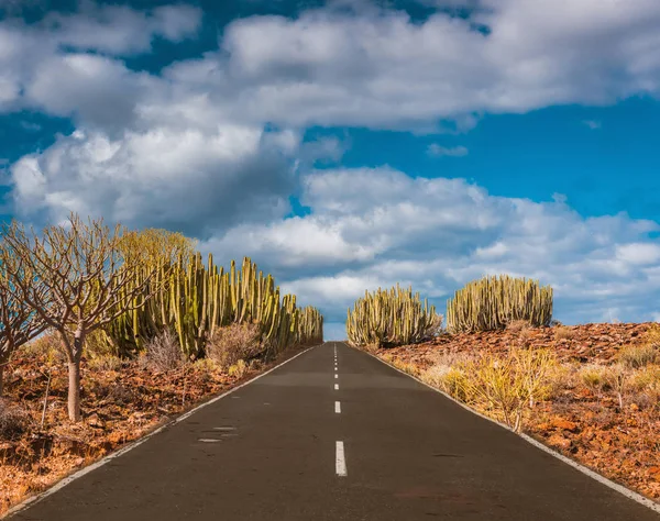 Camino de asfalto en desierto volcánico Tenerife, Canarias —  Fotos de Stock