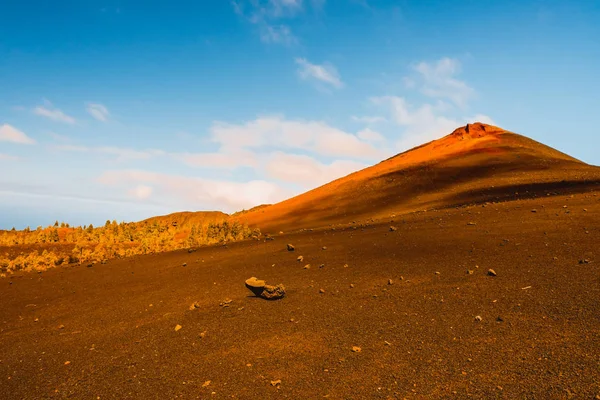 Teide नेशनल पार्क टेनेरिफ कैनरी — स्टॉक फ़ोटो, इमेज