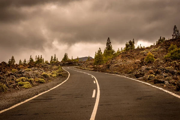 Asfaltvägen i vulkaniskt öknen Tenerife, Kanarieöarna — Stockfoto