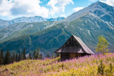 Hala Gasienicowa, Tatra mountains Zakopane Poland