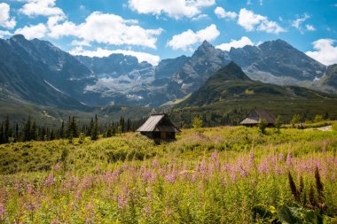 Hala Gasienicowa, Tatra mountains Zakopane Poland