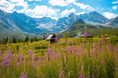 Hala Gasienicowa, Tatra mountains Zakopane Poland