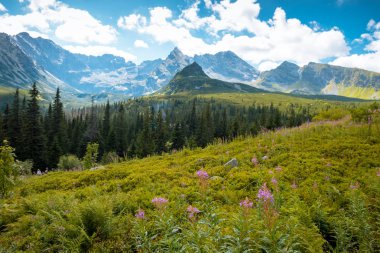 Zakopane 'deki Tatra Dağları Ulusal Parkı