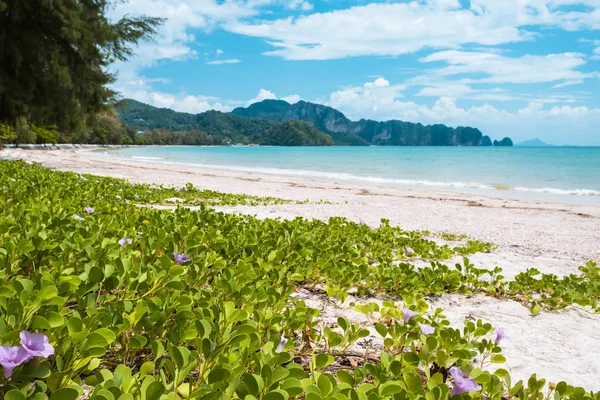 Playa del ferrocarril en Krabi, Tailandia — Foto de Stock