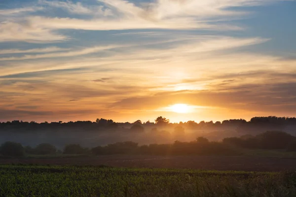 Grüne Wiese und schöner Sonnenuntergang — Stockfoto