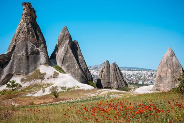 Formacje skalne i kwiaty z Kapadocji — Zdjęcie stockowe
