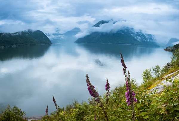 Hardangerfjord natural paisagem fiorde de norway — Fotografia de Stock