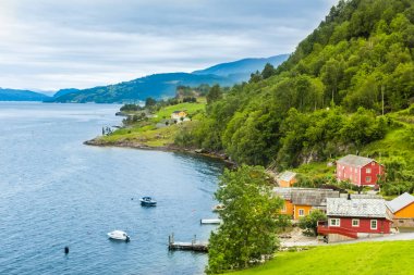 Güzel doğa Hardangerfjord manzara Norveç