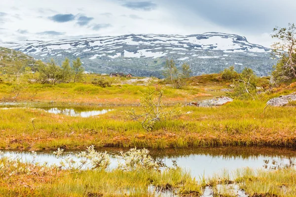 Vista de verano al lago de montaña Noruega — Foto de Stock