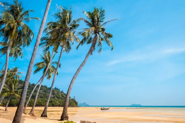 Palm i tropikalnej plaży Phi phi island, Tajlandia — Zdjęcie stockowe