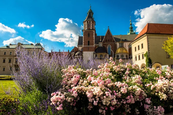 Wawel katedrála v Krakově, Polsko — Stock fotografie