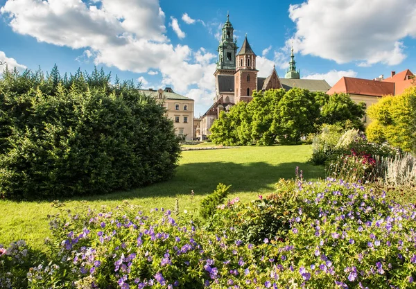 Wawel Cathedral i Krakow, Polen — Stockfoto