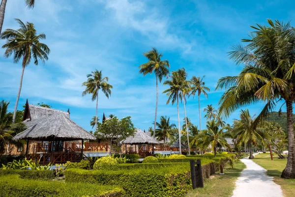 Bungalows hut i palmy Koh Phi phi Tajlandia — Zdjęcie stockowe