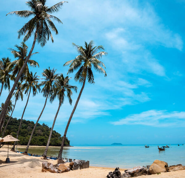 Palm and tropical beach Phi phi island Thailand