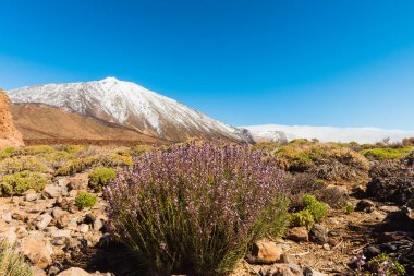 volkanik manzara, Teide, Tenerife