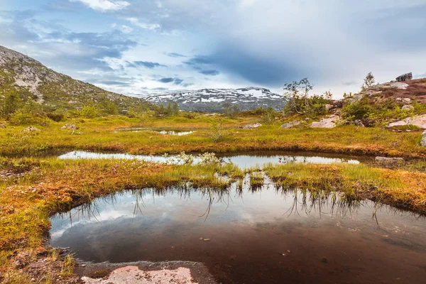 Letní pohled na horské jezero Norska — Stock fotografie