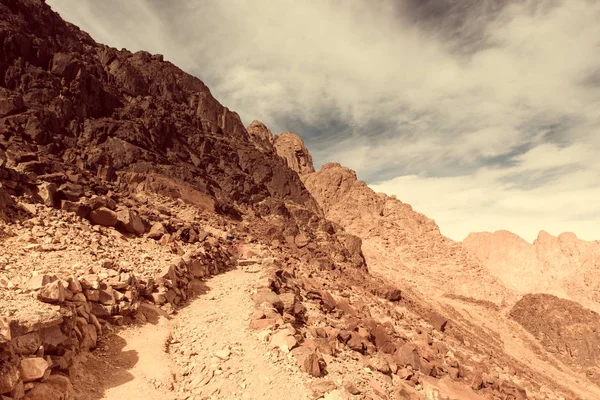 砂漠の風景｜地球温暖化の概念 — ストック写真
