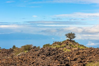 lav manzara Teide yanardağı Tenerife Kanarya