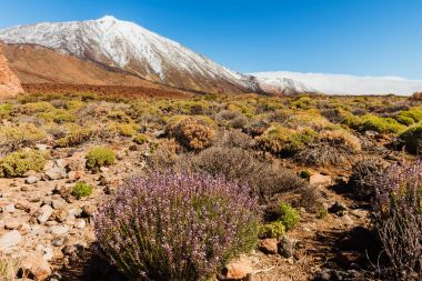 volkanik manzara, Teide, Tenerife