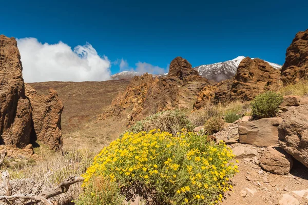 Krajobraz lawa wulkan Teide Kanaryjskie Tenerife — Zdjęcie stockowe