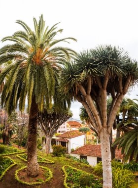 La Orotava, Tenerife, Canary Islands