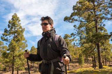 Uzun yürüyüşe çıkan kimse adam orman Tenefire, Kanarya hiking