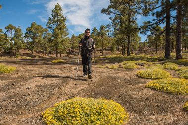 Uzun yürüyüşe çıkan kimse adam orman Tenefire, Kanarya hiking