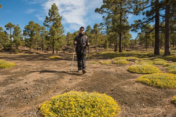 Uzun yürüyüşe çıkan kimse adam orman Tenefire, Kanarya hiking