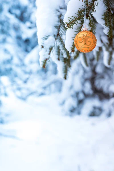 Julgran grenar med leksak i vinter skog — Stockfoto