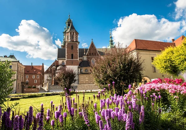 Wawel Cathedral i Krakow, Polen — Stockfoto