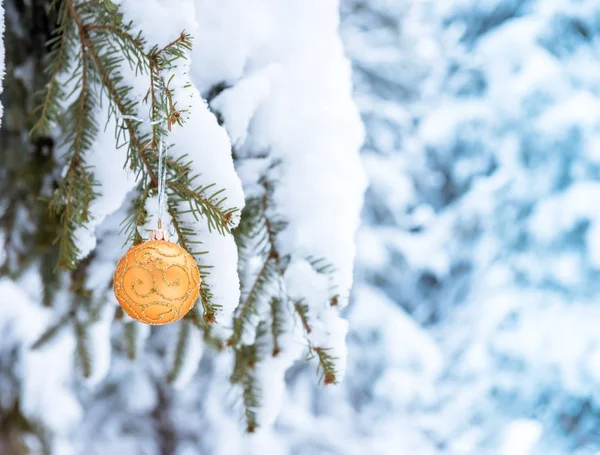 Ramos de árvore de Natal com brinquedo na floresta de inverno — Fotografia de Stock