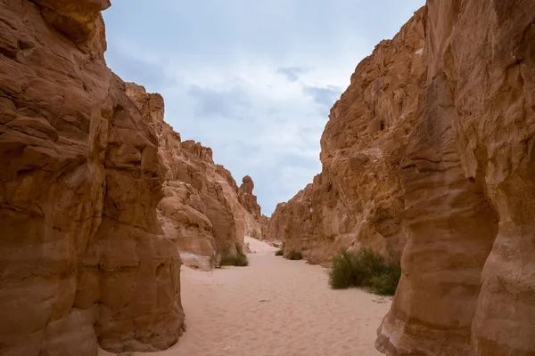 White Canyon Sinai Peninsula, Egypt — Stock Photo, Image