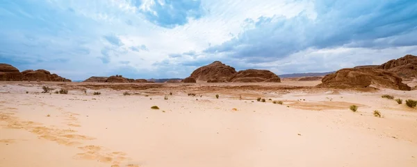 Panorama Deserto di sabbia Sinai, Egitto, Africa — Foto Stock