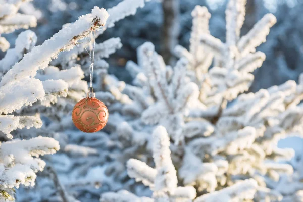 Kerstboom takken met speelgoed in winter forest — Stockfoto