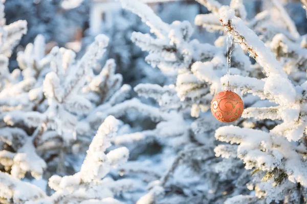 겨울 숲에서 장난감 크리스마스 나무 가지 — 스톡 사진