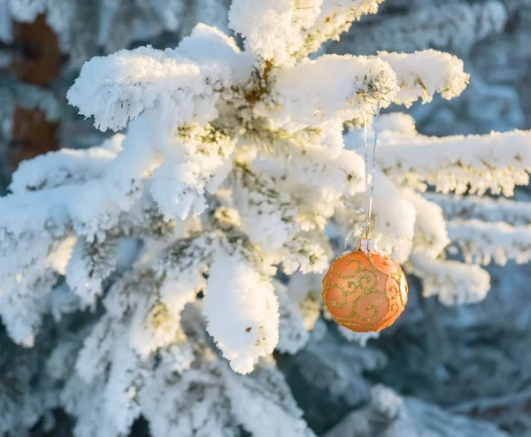 Ramos de árvore de Natal com brinquedo na floresta de inverno — Fotografia de Stock